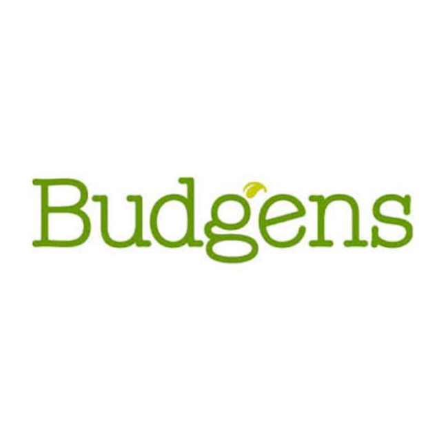 Our Key Partner Budgens